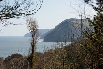 Looking towards the cliffs along the coast to the side.