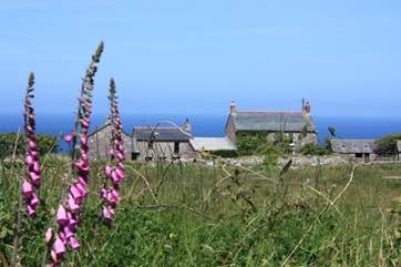 Calartha Farm, with the Atlantic Ocean as its backdrop.