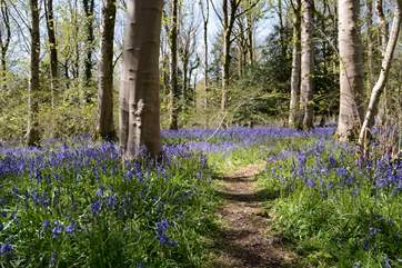 On the edge of the Blackdown Hills, there are so many beautiful walks in the surrounding hills.