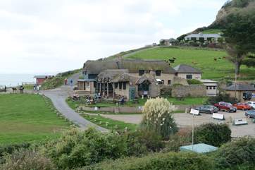 The sea shanty beach cafe at Branscombe beach serves great seafood.
