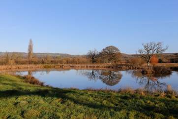 You also have access to the area around the lake and from this field, a footpath takes you up into the hills beyond Wellesley Park.