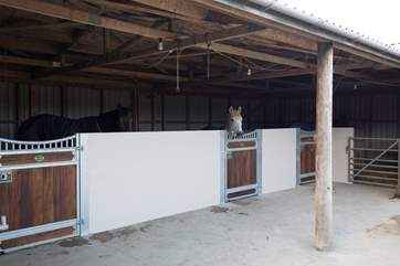 Your four-legged friend doesn't have to stay at home whilst you go on holiday, bring them with you and make the most of the stables.