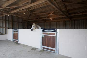 Why not bring your horse! There are stables available to home your horse after your lovely ride on the beach.