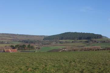 Whatever the weather, the Isle of Wight's diverse countryside is simply too beautiful to not enjoy.