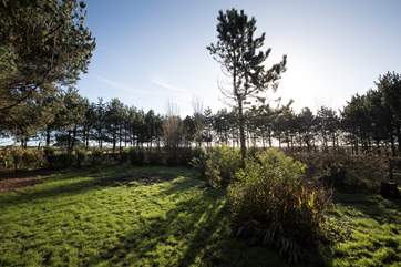 The surrounding area is a walker's heaven, long or short with numerous country pubs to break it up!