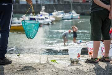 Appledore is a great place for crabbing - nostalgic for grown ups too.