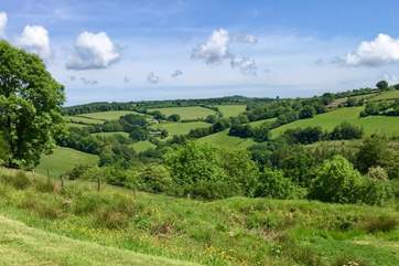 This is the view from the front of the farmhouse - it will captivate you as you come down the driveway.