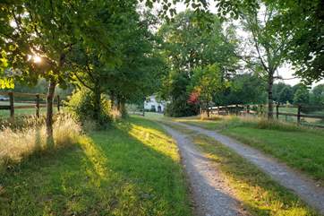 A long tree-lined driveway sets the scene on arrival. As the owers use a separate entrance behind the farmstead, this will feel like your own private driveway !