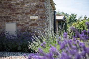 The garden at Pound Farm Cottage is truly delightful, all you will hear is the sound of birdsong.
