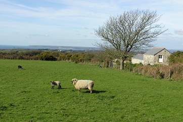 Mazey's Cottage is on the right of the picture in this lovely rural spot.
