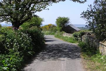 The quiet country lane outside the cottage.