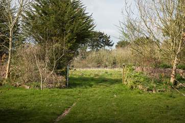 Explore the 10 acres of land and discover hidden wildlife.