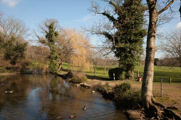 Take a walk down to the local duck pond where you can feed the ducks and have a stroll around the large park