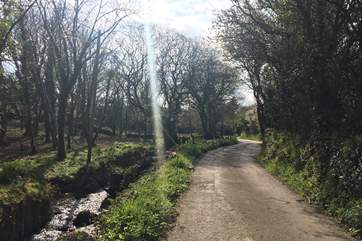 The pretty country lane to Buzzard's Rise