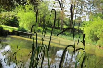 The beautiful grounds burst with colour and life.