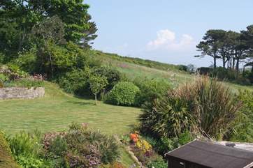 The well maintained garden.