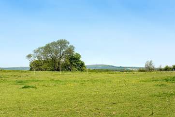 The view from the top of the garden - looking out to Caradon Hill and the moors in the distance.