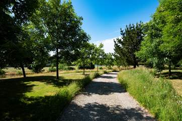 The tree lined approach to An Skiber.
