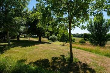 Plenty of open space to enjoy.