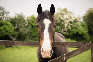 One of your neighbours.