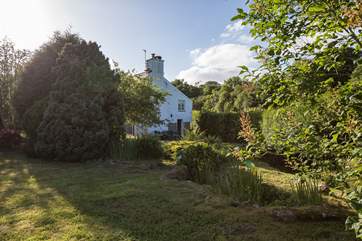 New Park Cottage is set in this beautiful enclosed garden. Your four-legged friends are going to be made up with the space and adventure.