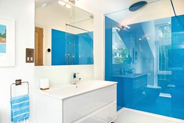 Bedroom 5's swanky shower-room - it even has a WiFi shower!