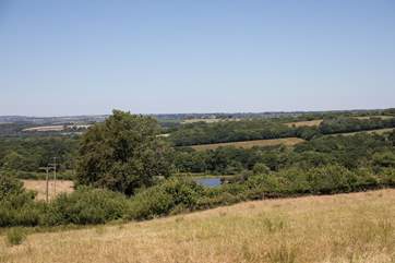 One of the amazing walks takes you down to the lake and around the perimeter. A real hit with your four-legged friends.