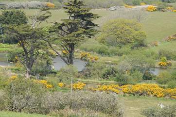 Views galore (this view is towards the course fishing lakes nearby).