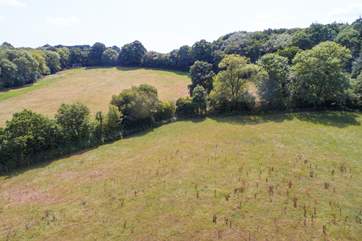 Looking back towards Huxham Hideaway (you can just see it tucked in to the corner of the field in the far left of the photograph).