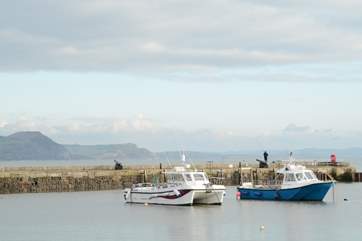 Lyme Regis with its iconic Cobb and Golden Cap in the background, the highest point of the World Heritage Jurassic Coast.