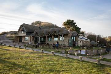 The Sea Shanty beach cafe beside the beach at nearby Branscombe serves great locally caught seafood.