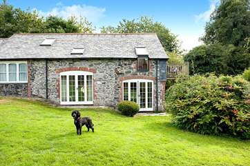 Your four-legged friend will simply love it here.
