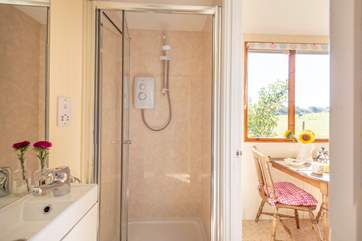 Complete with electric shower and proper flushing loo.
