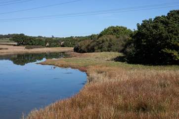 You will find all sort of wildlife here - what will you find?