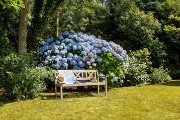 The gardens are quite stunning.