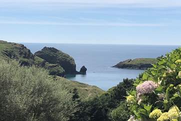 There are fabulous views from the headland.