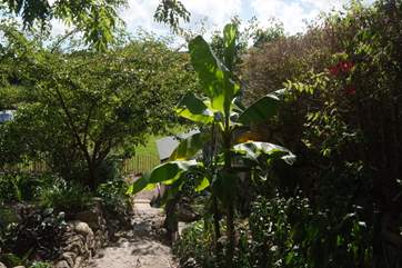 Steps lead down to the terrace and entrance to the cottage.