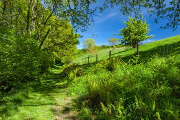 One of many footpaths leading directly from the grounds of Larch Barn.