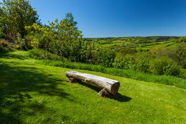 This grassed area beside the barn allows you to be surrounded by nature.