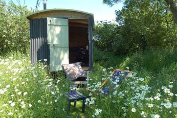 Your very own Shepherd's Hut in the wildflower meadow - this is something rather special indeed!