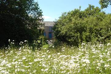 Looking back at Mr Bear's Hayloft from the wildflower meadow. Not too far, but far enough away from other souls. Peace and tranquility guaranteed.