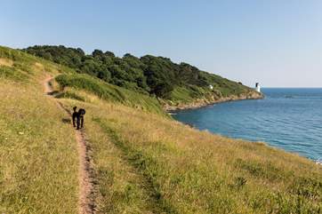 There are so many amazing walks nearby, St Anthony Head is stunning.