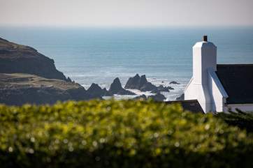 Burgh Island feels within touching distance. Taking the sea tractor over to this fabulous spot is a great day out for all the family.