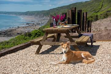 Your four-legged friend is more than welcome to join you here.