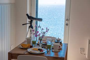 Will you spot any dolphins or porpoises?