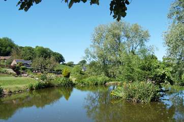 There is a deck beside the pond where you can enjoy the peace and quiet.