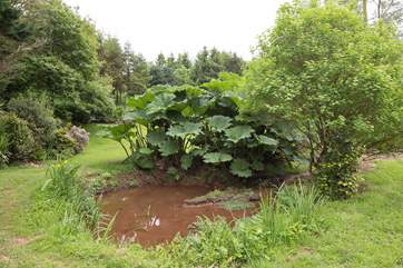 Surrounding garden area.