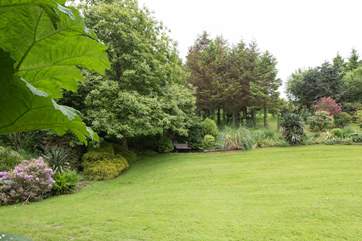 Lovingingly kept lawns.
