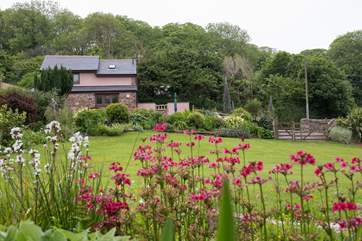 An array of colour at every turn.