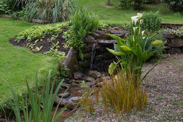 What a well kept garden!
